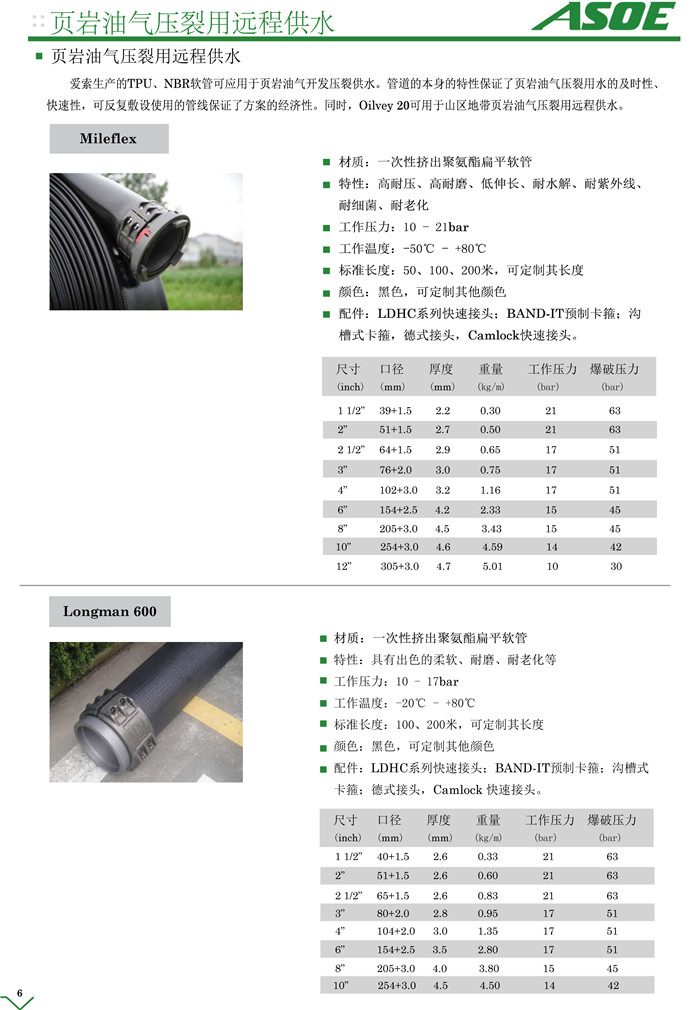 頁(yè)巖油氣